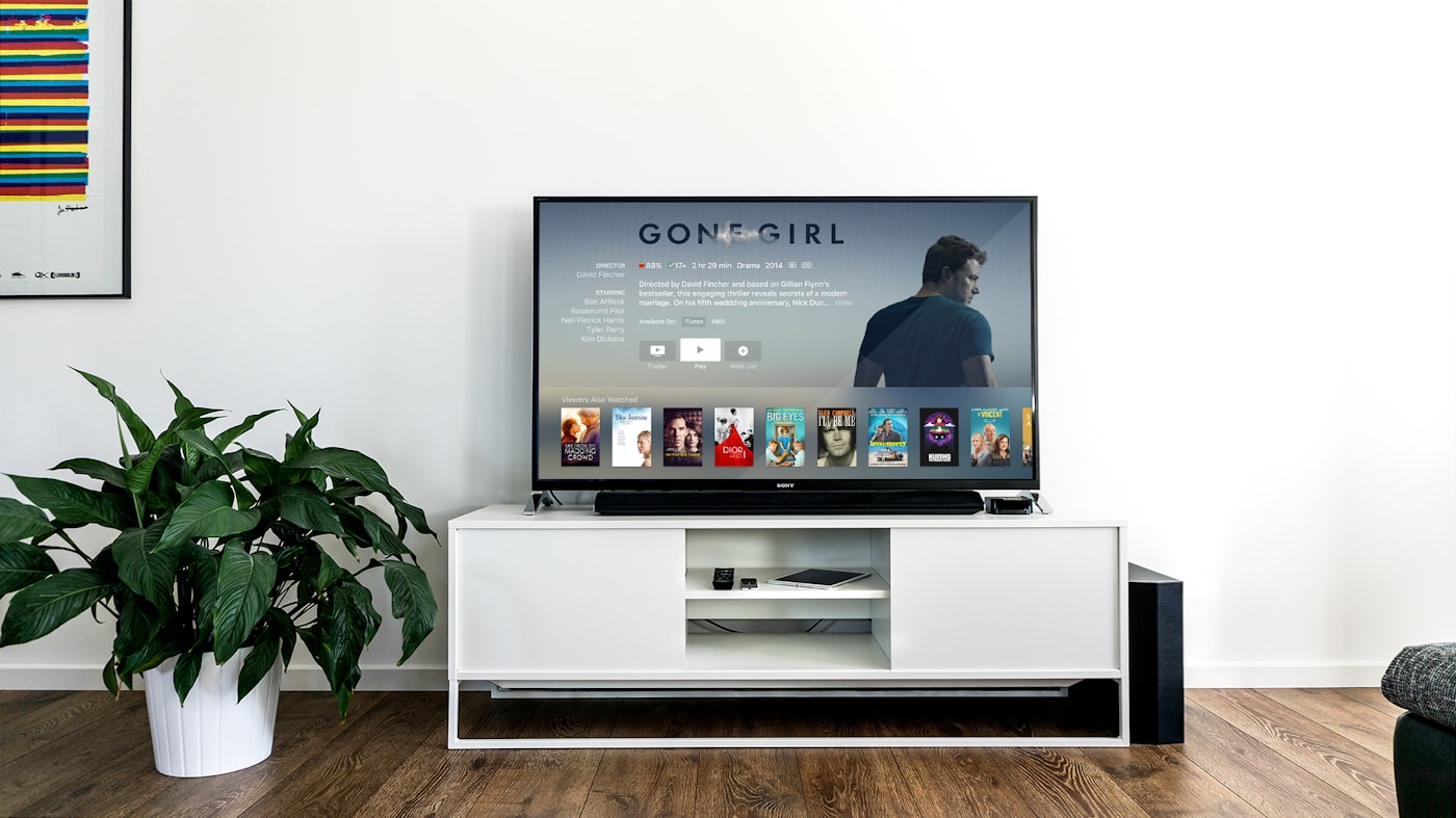 OLED TV Repair